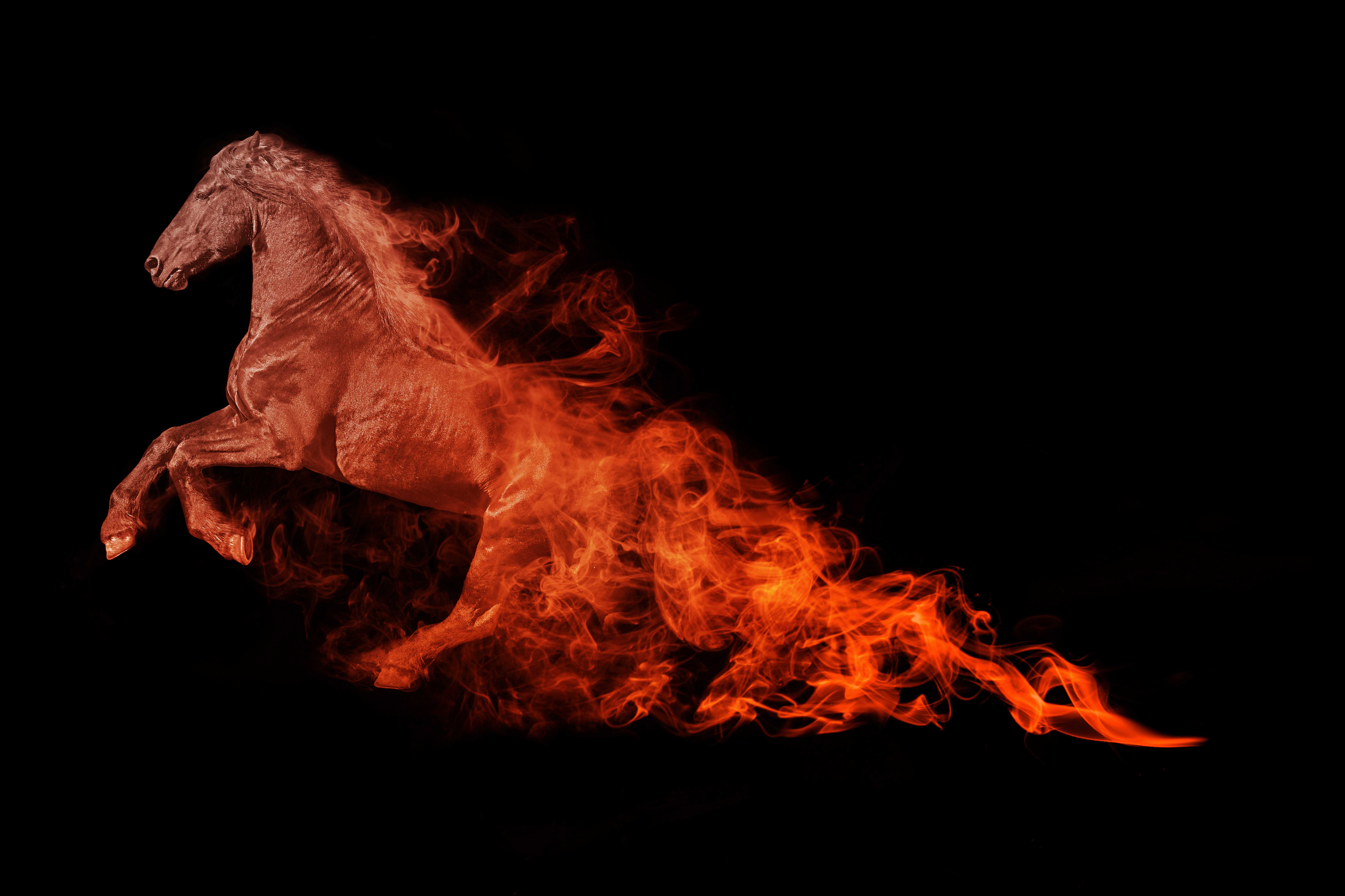Horse on fire
